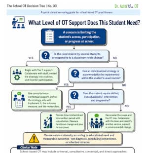 School OT Decision Tree 03 Image - Exploring the Level of OT Support a student needs during school-based occupational therapy services