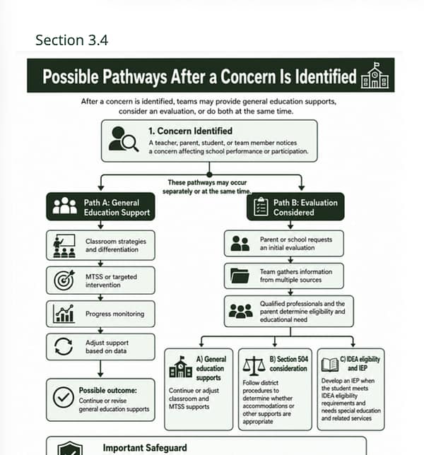 Dr Aditi the OT - School OT Survival Guide Preview 3 Dr Aditi the OT - School OT Possible Pathways After Evaluation